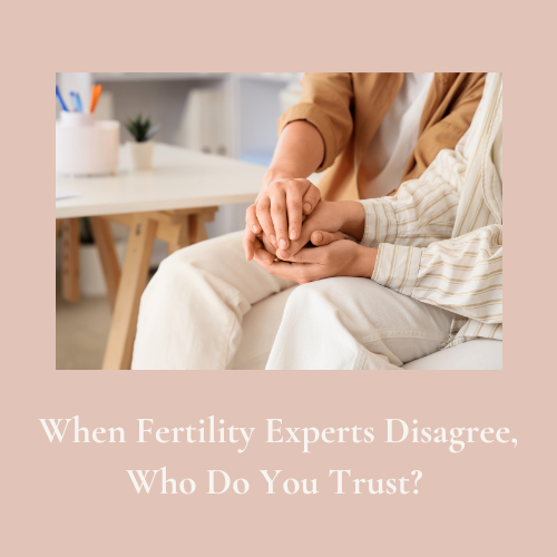Fertility over 40 discussion about conflicting fertility advice, fertility experts, holistic fertility, the motherhood journey, and self-trust.