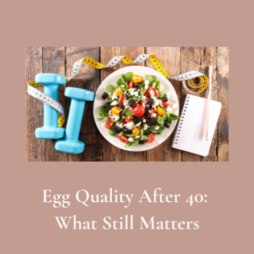 Fertility over 40 discussion about egg quality after 40, holistic fertility, the motherhood journey, and what deserves attention now.
